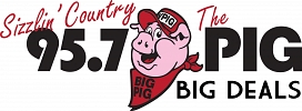 Big Pig's Big Deals Logo